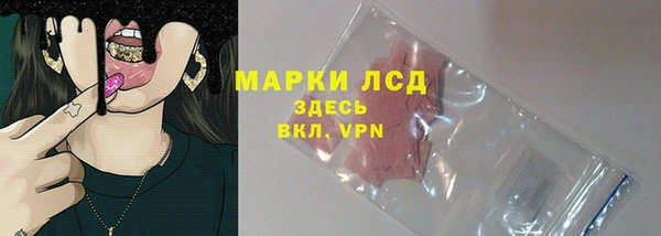 прущие грибы Абдулино