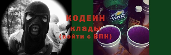 ГАЛЛЮЦИНОГЕННЫЕ ГРИБЫ Аркадак
