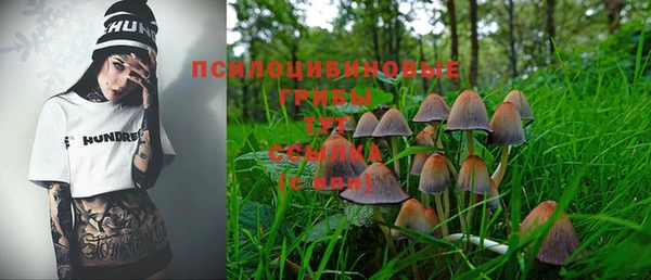 МДПВ Алексин