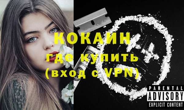 прущие грибы Абдулино